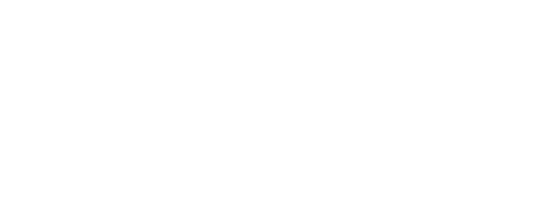 Mega Sport